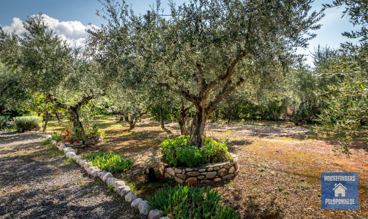House-greece-gardening-Airbnb potential