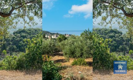 plot-olive-tree-sea view-mountain view-riglia-beach-pantazi-agios-nikolaos